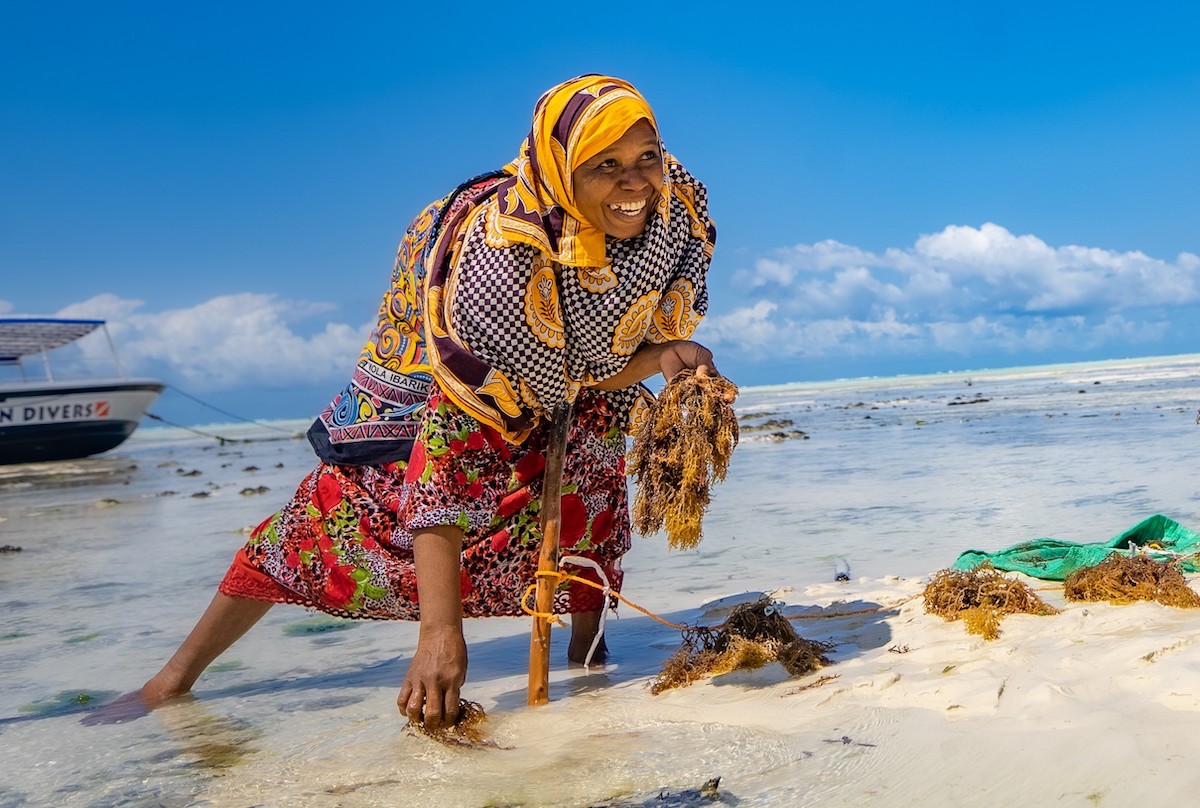 Speji Haji Usi cultivating sea moss on the southern coast of Zanzibar. Photo: UN Women/Phil Kabuje
