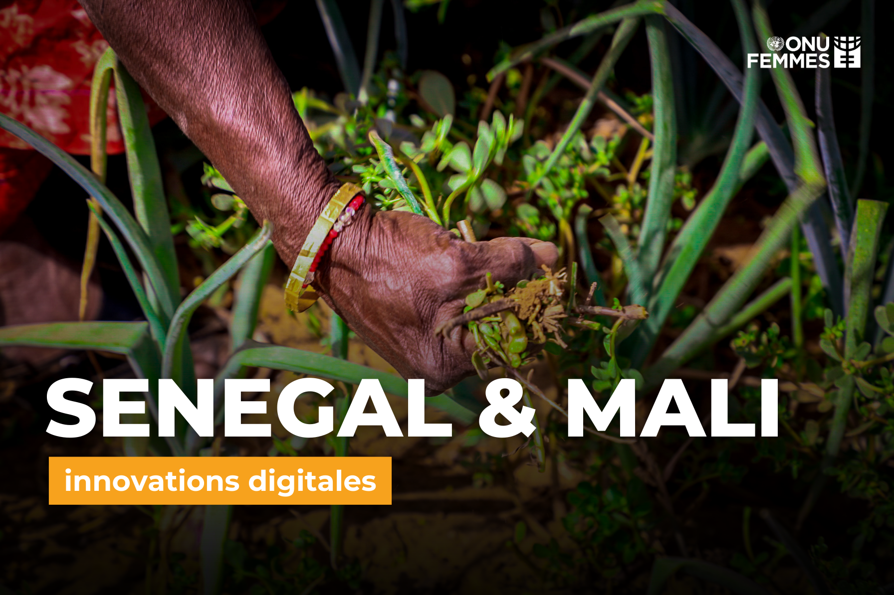 Protéger les productrices du Mali et du Sénégal face aux risques climatiques grâce aux innovations digitales