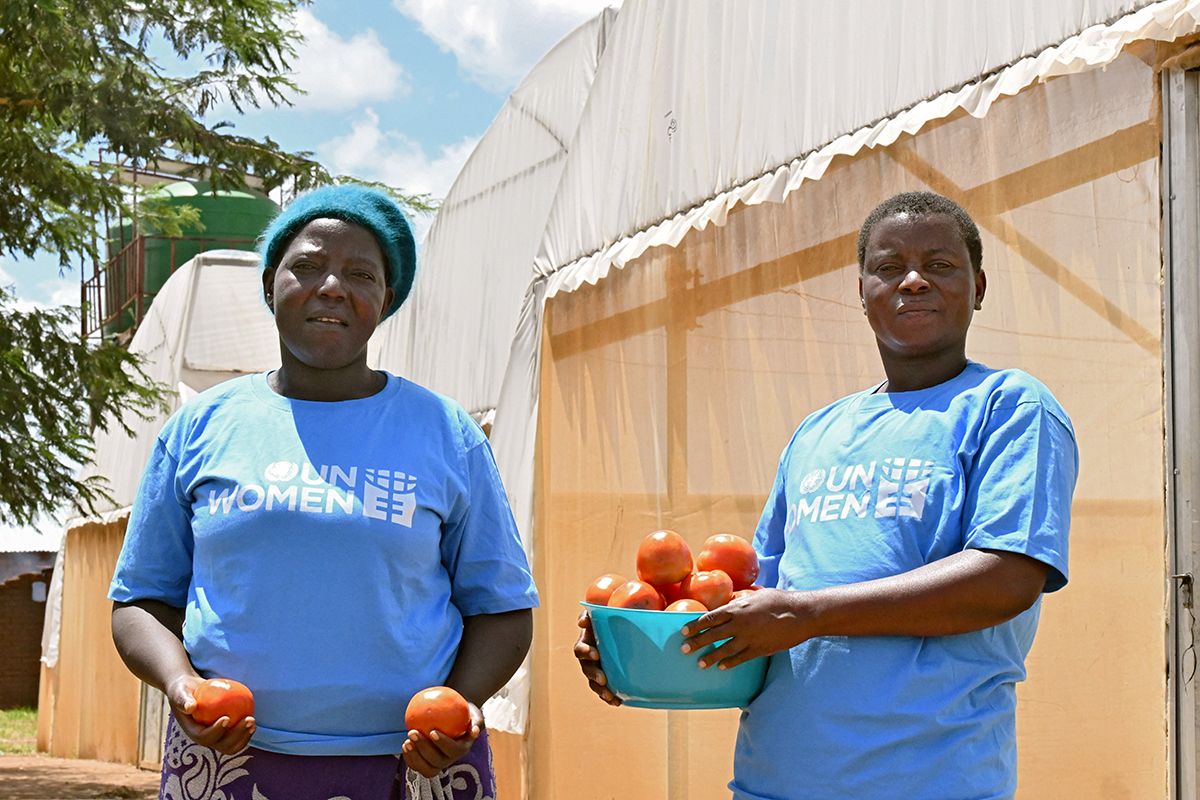 Ruth Kampatura (left) and Prose Mgundamavu are seen harvesting tomatoes in the Kambuku greenhouses in Lilongwe, Malawi. Photo: UN Women Malawi
