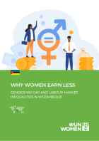 Gender Pay Gap and Labour Market Inequalities in Mozambique