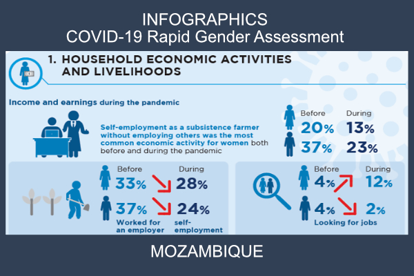 COVID-19 Rapid Gender Assessment (Mozambique)