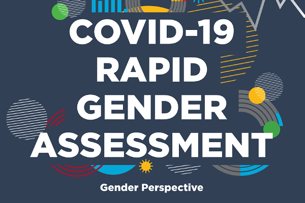 COVID-19 Rapid Gender Assessment (Mozambique)