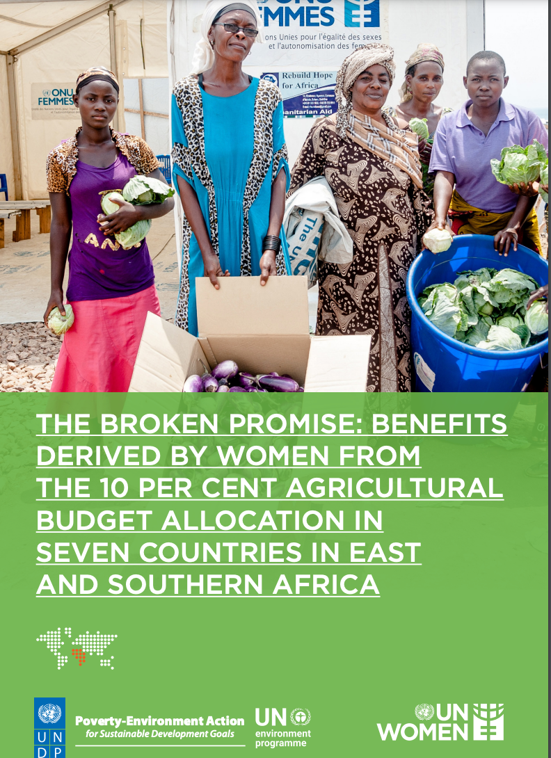 The Broken Promise: Benefits derived by women from the 10 percent  agricultural budget allocation in seven countries in East and Southern  Africa | UN Women – Africa