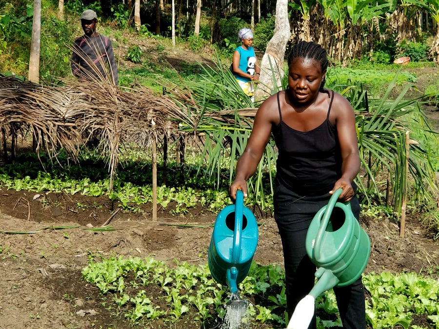 “I encourage women to stay focused and produce food for the country”