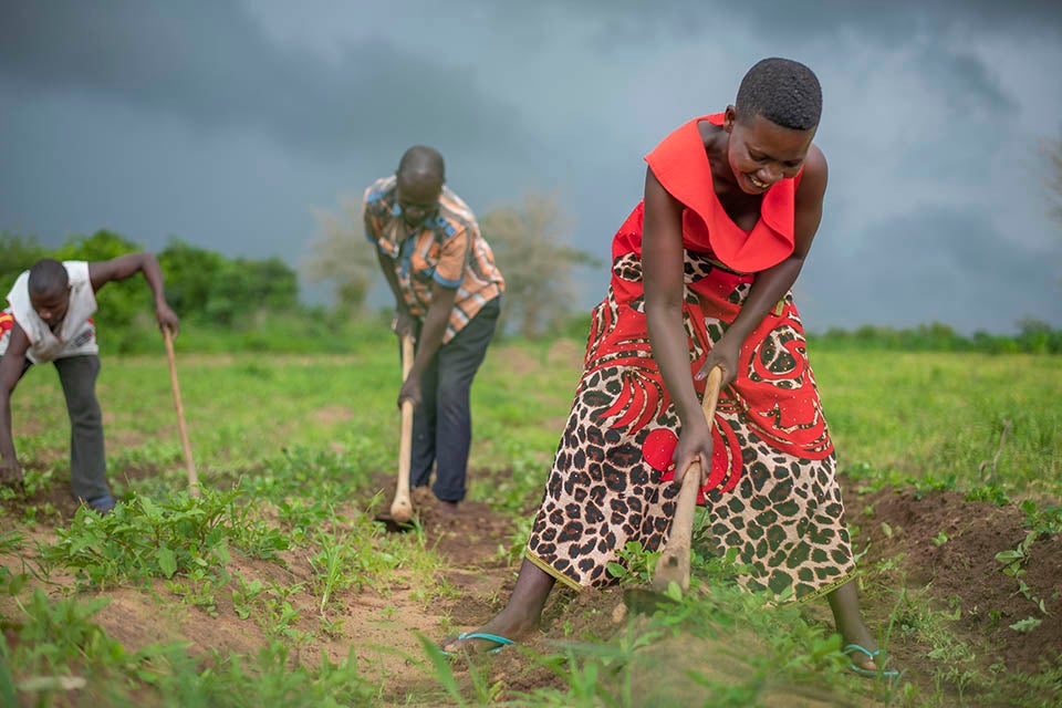 Women farmers are increasing agricultural productivity using techniques learned from UN Women. Photo: UN Women/Bennie Khanyizira