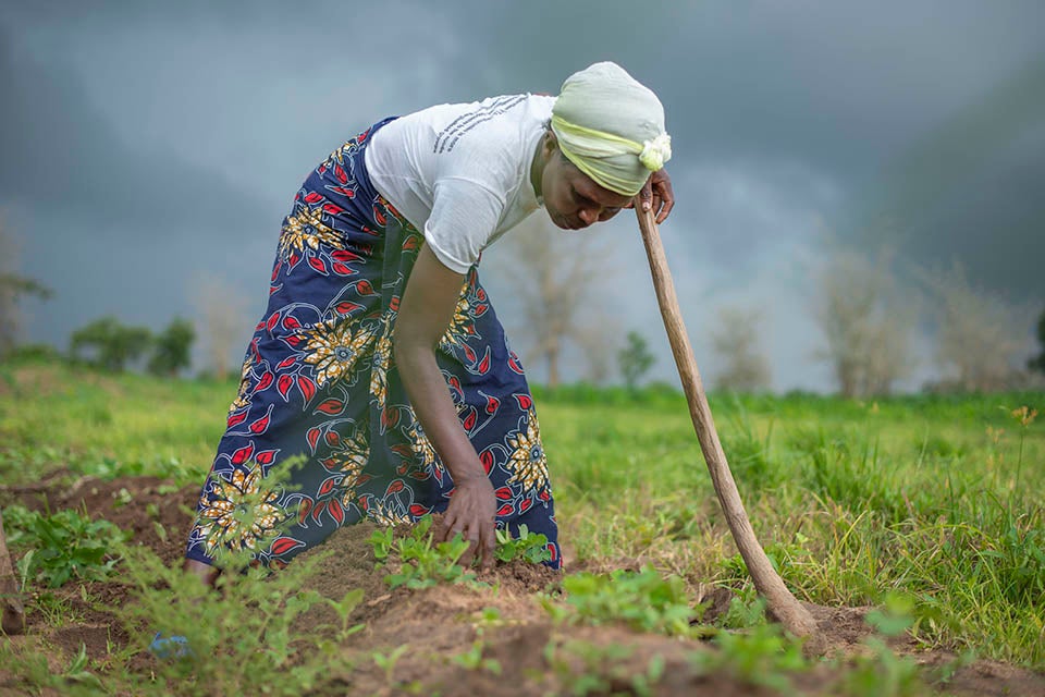 Grear Hara, a farmer from northern Malawi follows advice to plant groundnuts early. Photo: UN Women/Bennie Khanyizira