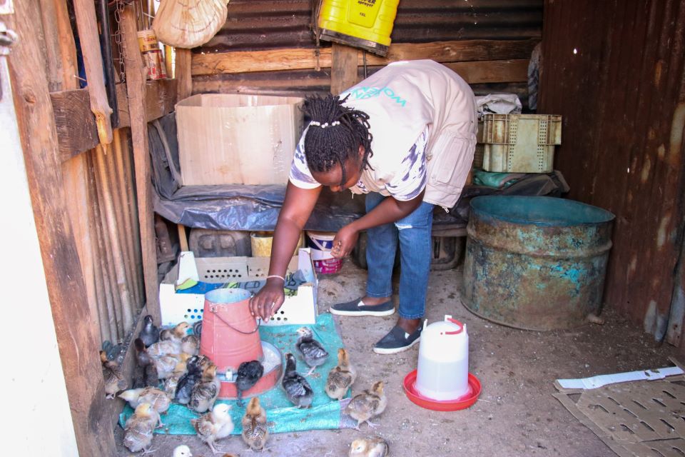 Julia has invested in a new species of poultry, with higher egg production and faster growth rates. Credit: UN Women/James Ochweri.