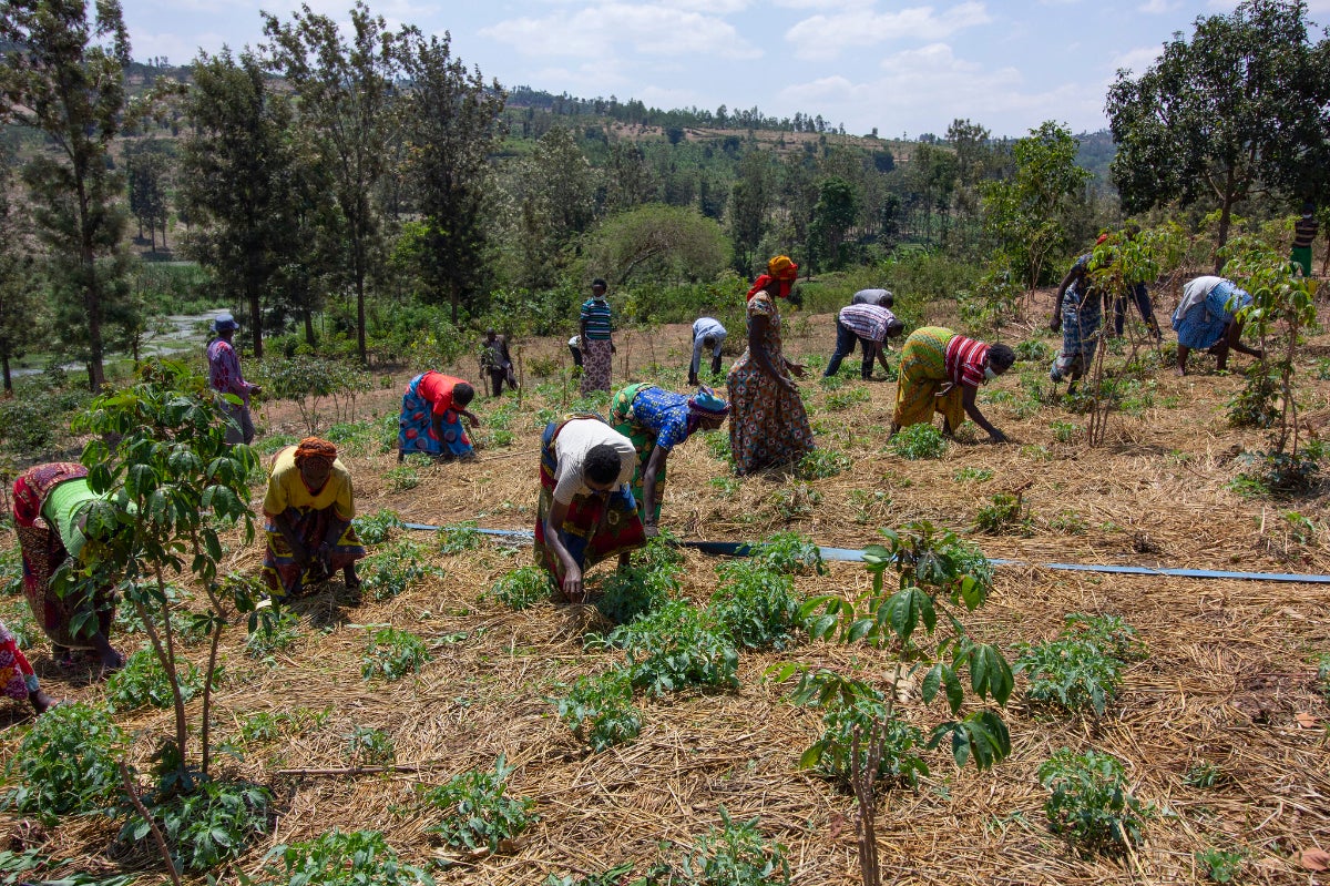 Rwanda: Promoting Equitable COVID-19 Recovery in the Informal Sector