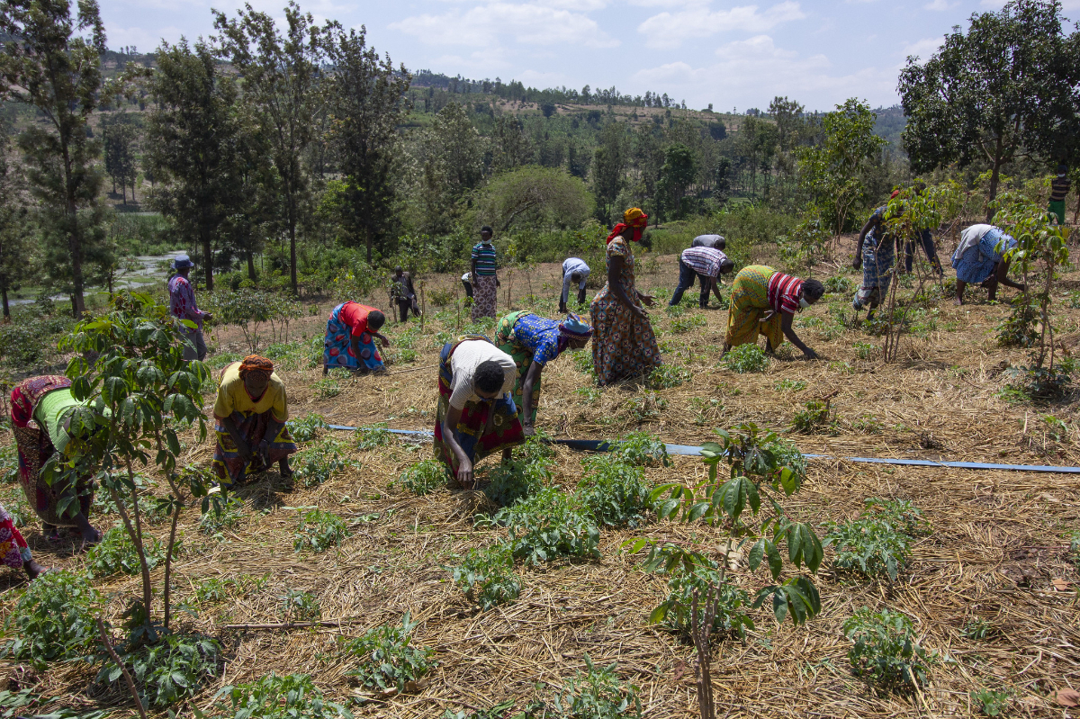 Rwanda: Promoting Equitable COVID-19 Recovery in the Informal Sector