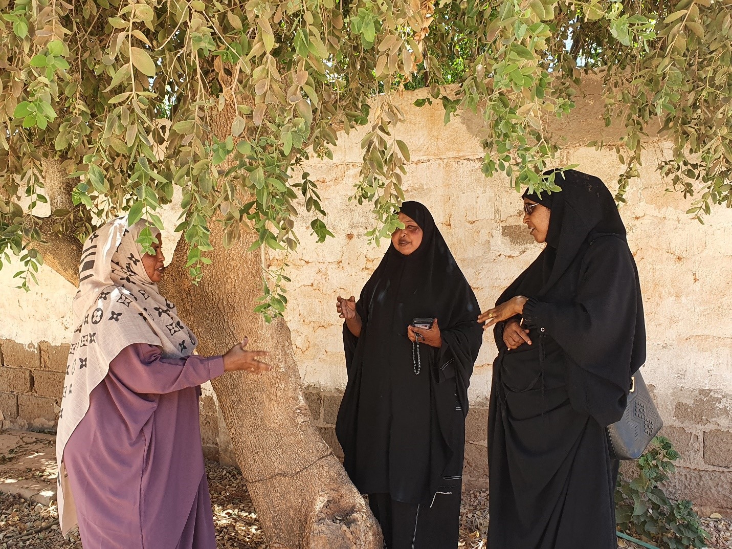 women discussing under a tree