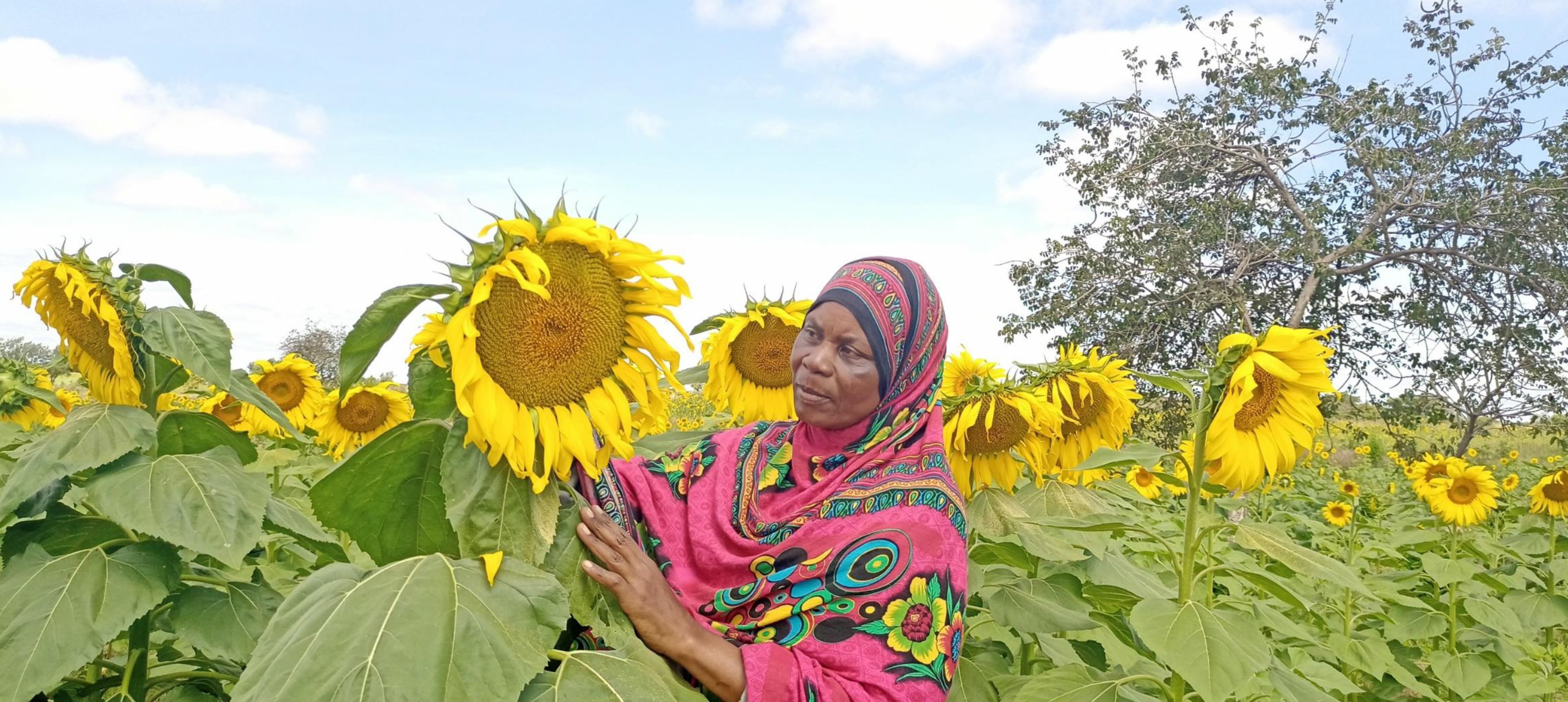Mariam Tungu on her sunflower farm. Photo: UN Women