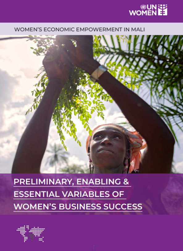 PRELIMINARY, ENABLING & ESSENTIAL VARIABLES OF WOMEN’S BUSINESS SUCCESS