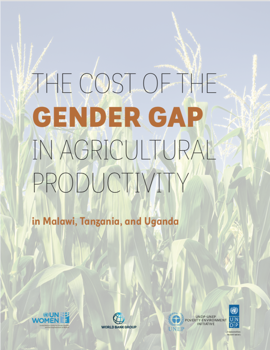  THE COST OF THE GENDER GAP IN AGRICULTURAL PRODUCTIVITY