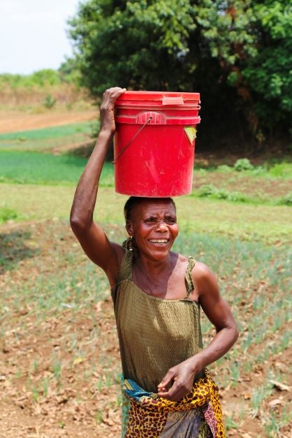 Destine Mulubwa, vegetable farmer, plot owner and mother of 11 children, is one of the beneficiaries of UN Women's funding to the NGO Sud-Ouest Developpment in 2016/2017