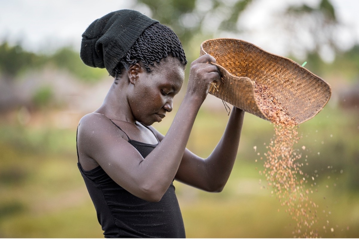 woman sifting grain 