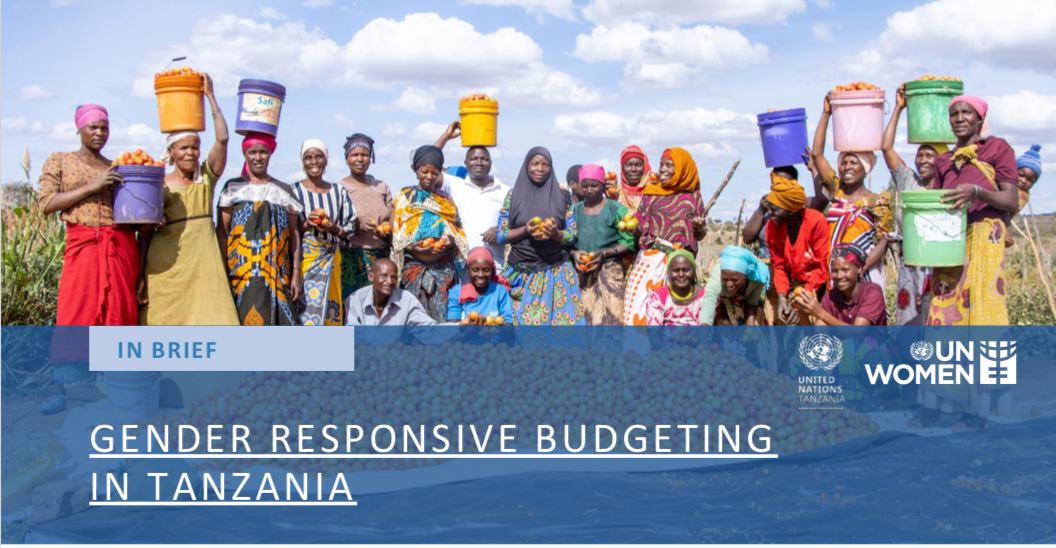 Gender responsive budgeting in Tanzania 