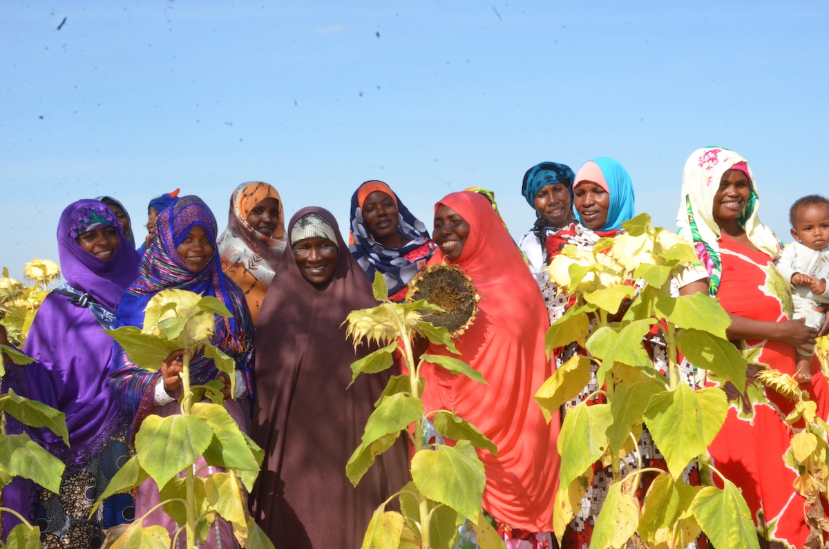 Women sunflower farmers in the Ikungi District of Singida region showcasing their cultivation. Photo: UN Women  