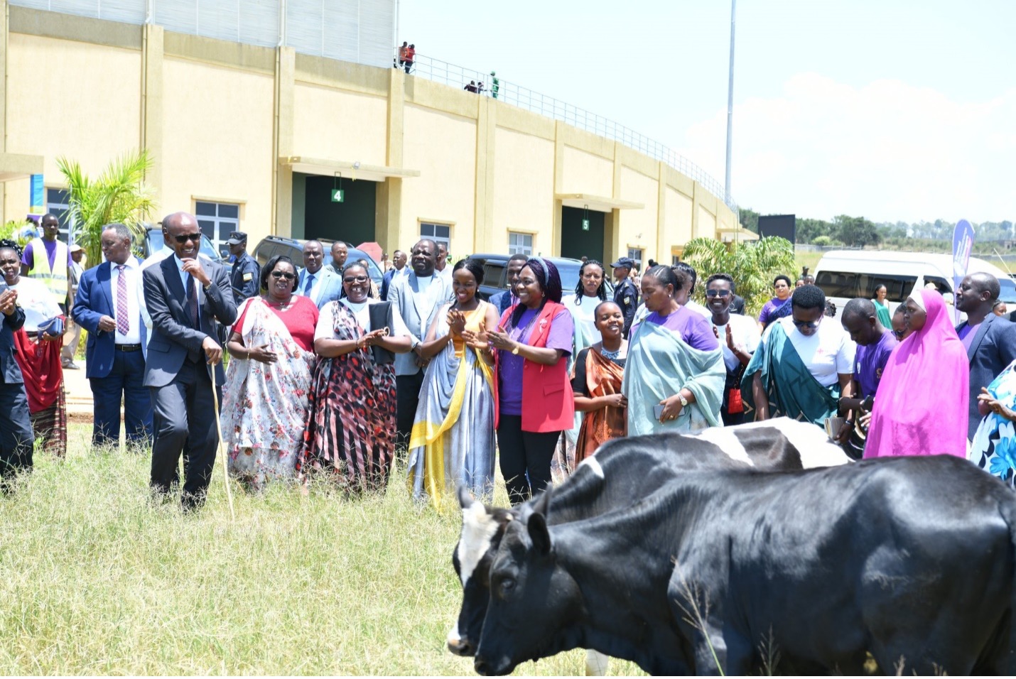 The Mayor of Nyagatare district and delegates handing over the livestock to selected families at the IWD celebrations. Photo: UN Women/Pearl Karungi