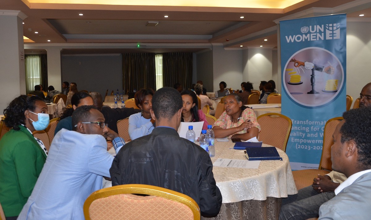 National planning participants in a group discussion at the program validation workshop. Photo: UN Women/ Fikerte Abebe