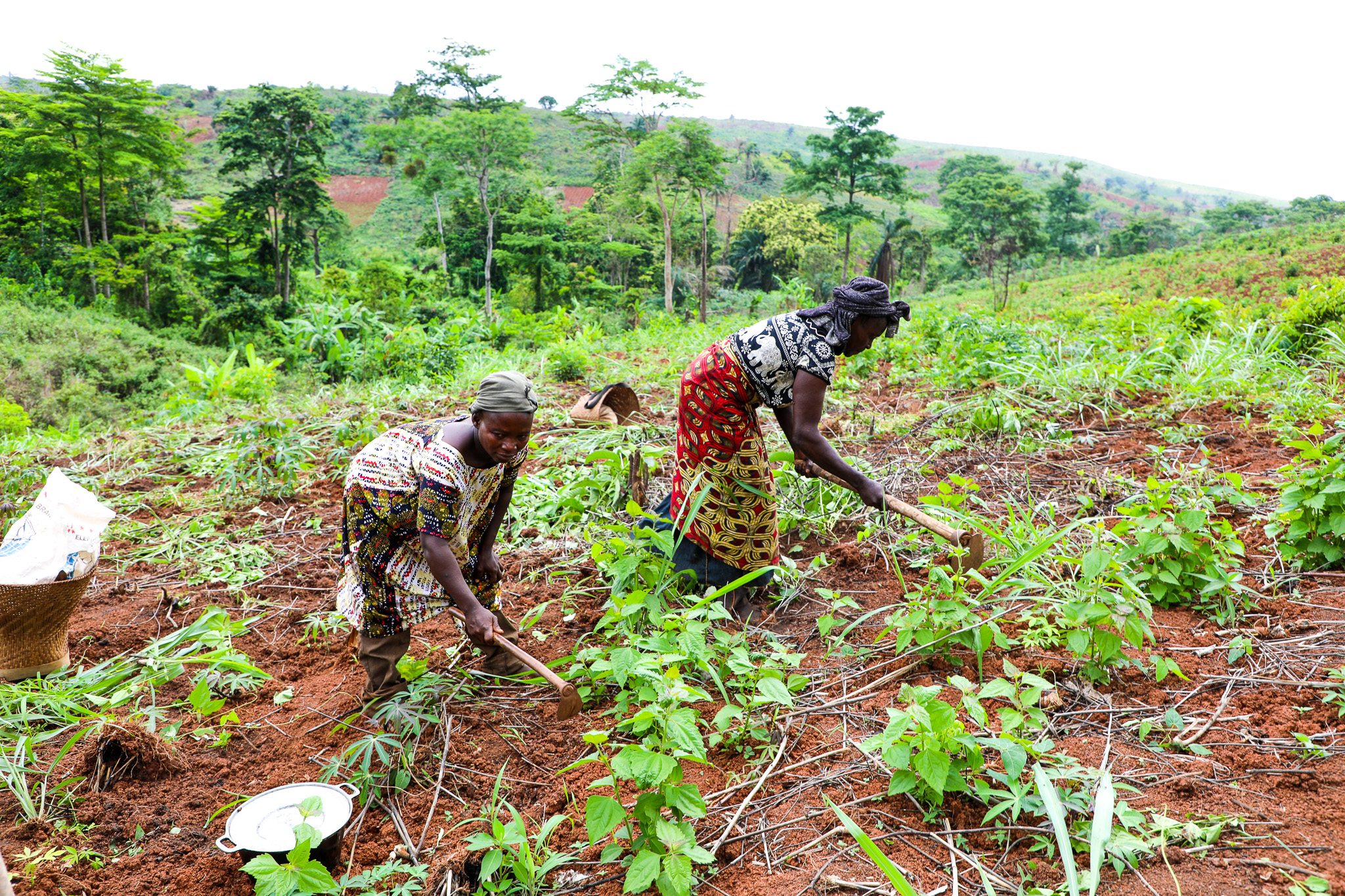 Les femmes maraichères de Kwakwa travaillent la terre et continuent d'utiliser des outils précaires. Photos : ONU Femmes / Marina Mestres Segarra.