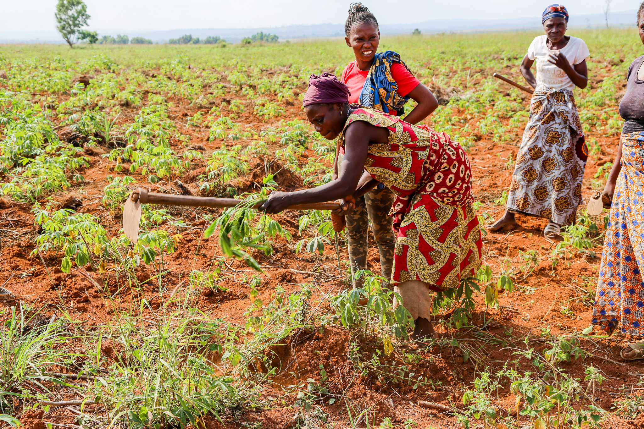 The women work in the fields from sunrise to sunset. Photo: UN Women / Marina Mestres Segarra