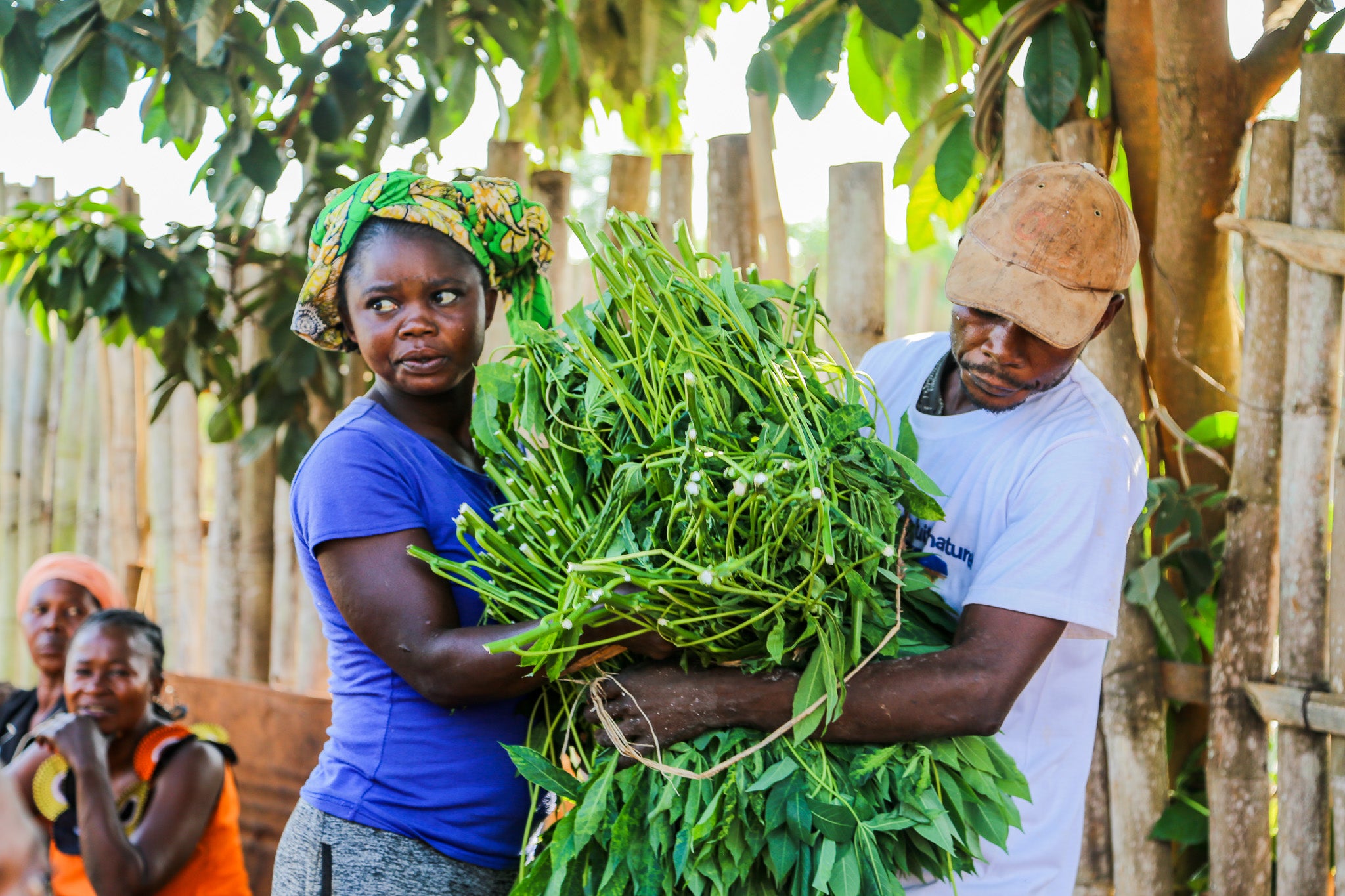 Women and men of Kuakua work together throughout the flour production process, as well as during other harvesting activities. 