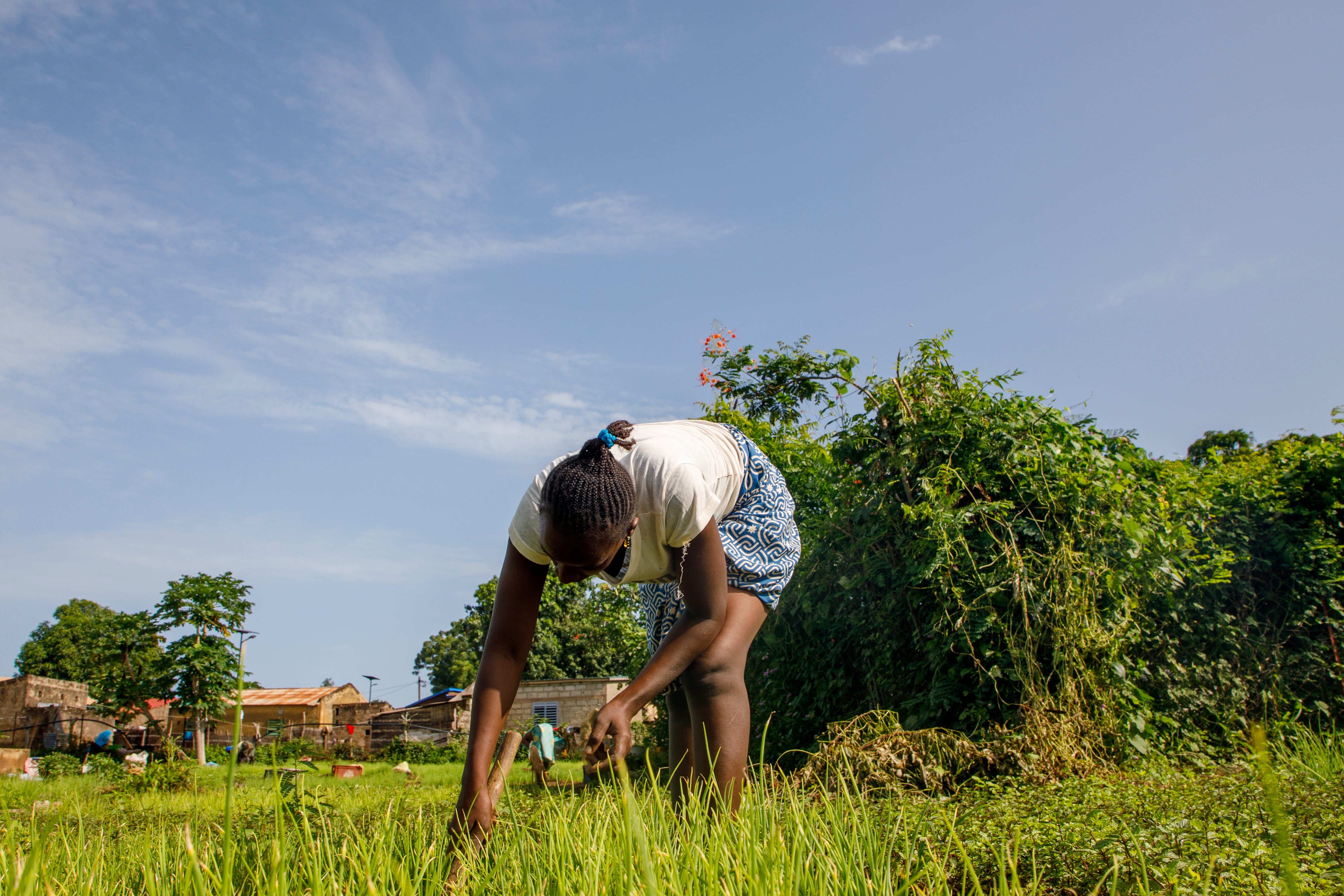 Au village de Fadiga (Sénégal), les femmes travaillent depuis de nombreuses années dans l'agriculture. Crédit Photos : ONU Femmes / Alioune Ndiaye