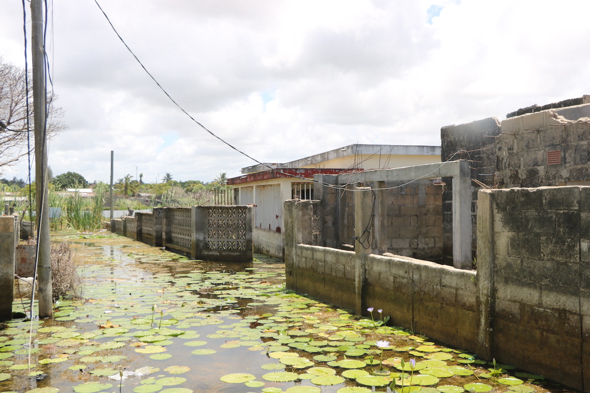  One year after the floods residential areas are still under water forcing families to live in temporary shelters. These are some of the houses affected by the floods in February 2023 in KaMavota, Maputo. Photo: UN Women / Edson Rufai