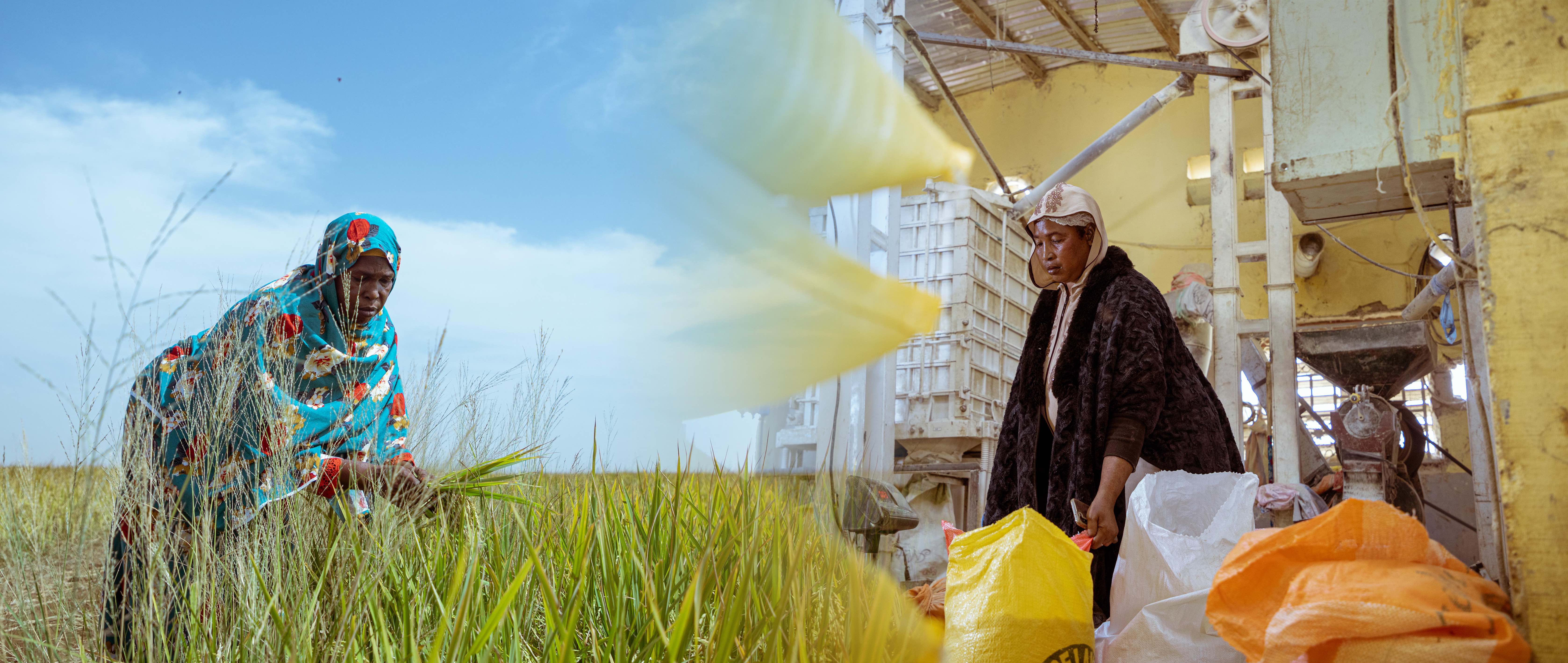 Khady et Awa Diallo, deux soeurs unies vers l'autonomisation économique