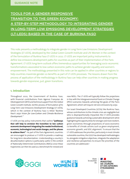 Tools for a gender responsive transition to the green economy: a step-by-step methodology to integrating gender in long-term low emissions development strategies (LT-LEDS) based in the case of Burkina Faso