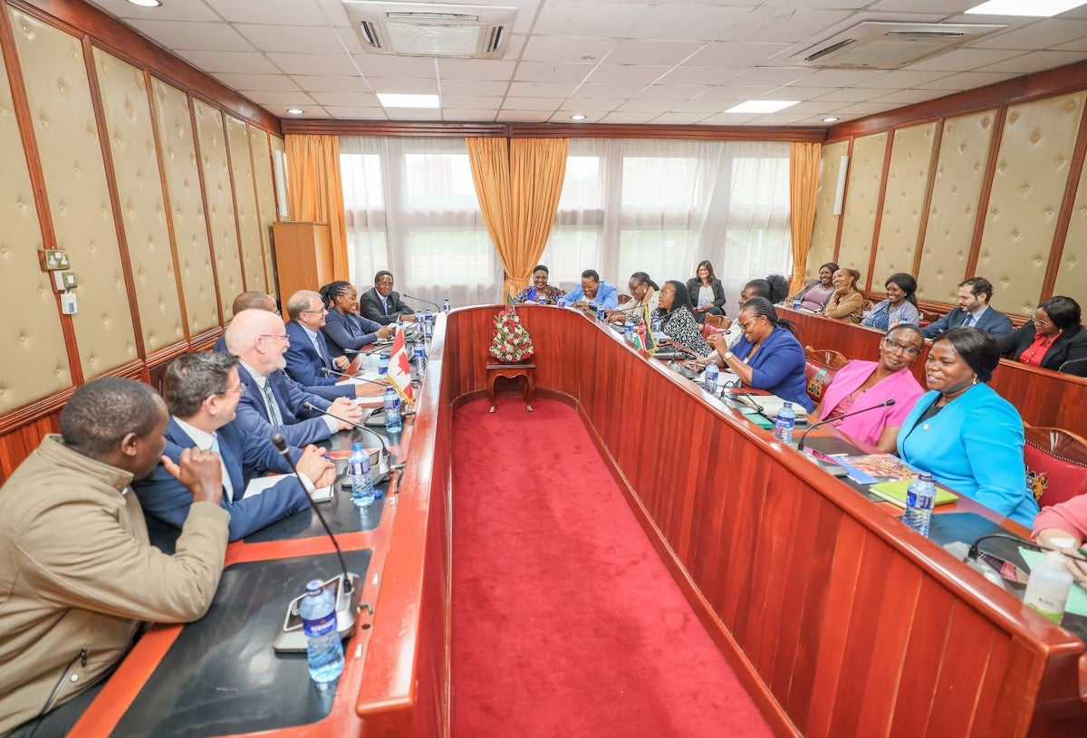 Anna Mutavati, UN Women Representative (front right) in Kenya sharing insights at the meeting in Parliament. Photo: UN Women/Sharon Kinyanjui