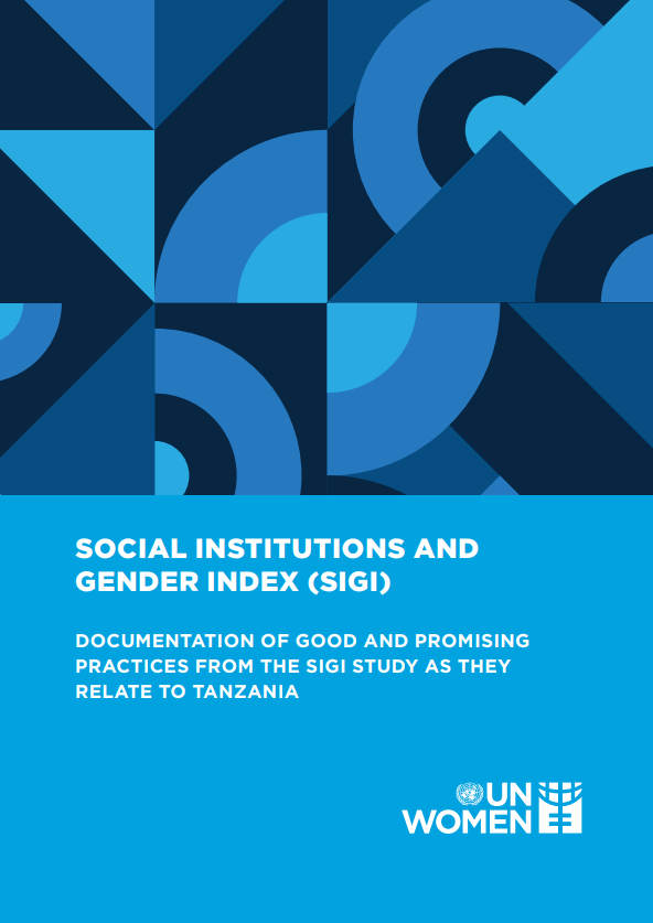  Documentation of Good and Promising Practices from the SIGI Study as they Relate to Tanzania