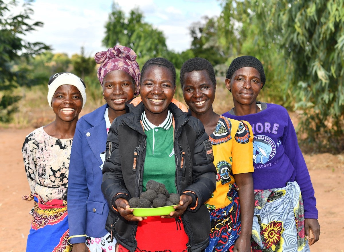 Briquettes Malawi