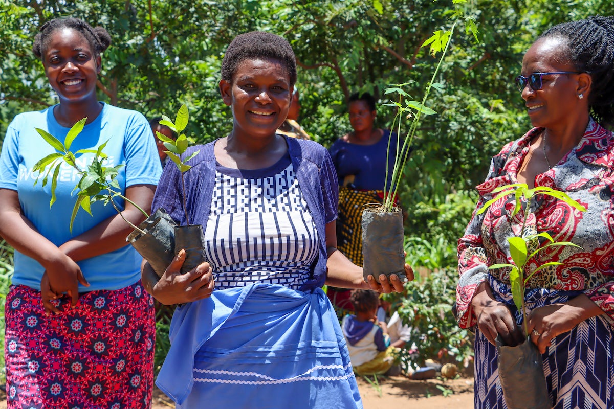 Women provided fruit tree seedling in TA Makata, Blantyre. Photo: Christian Aid/Watipaso Nungu