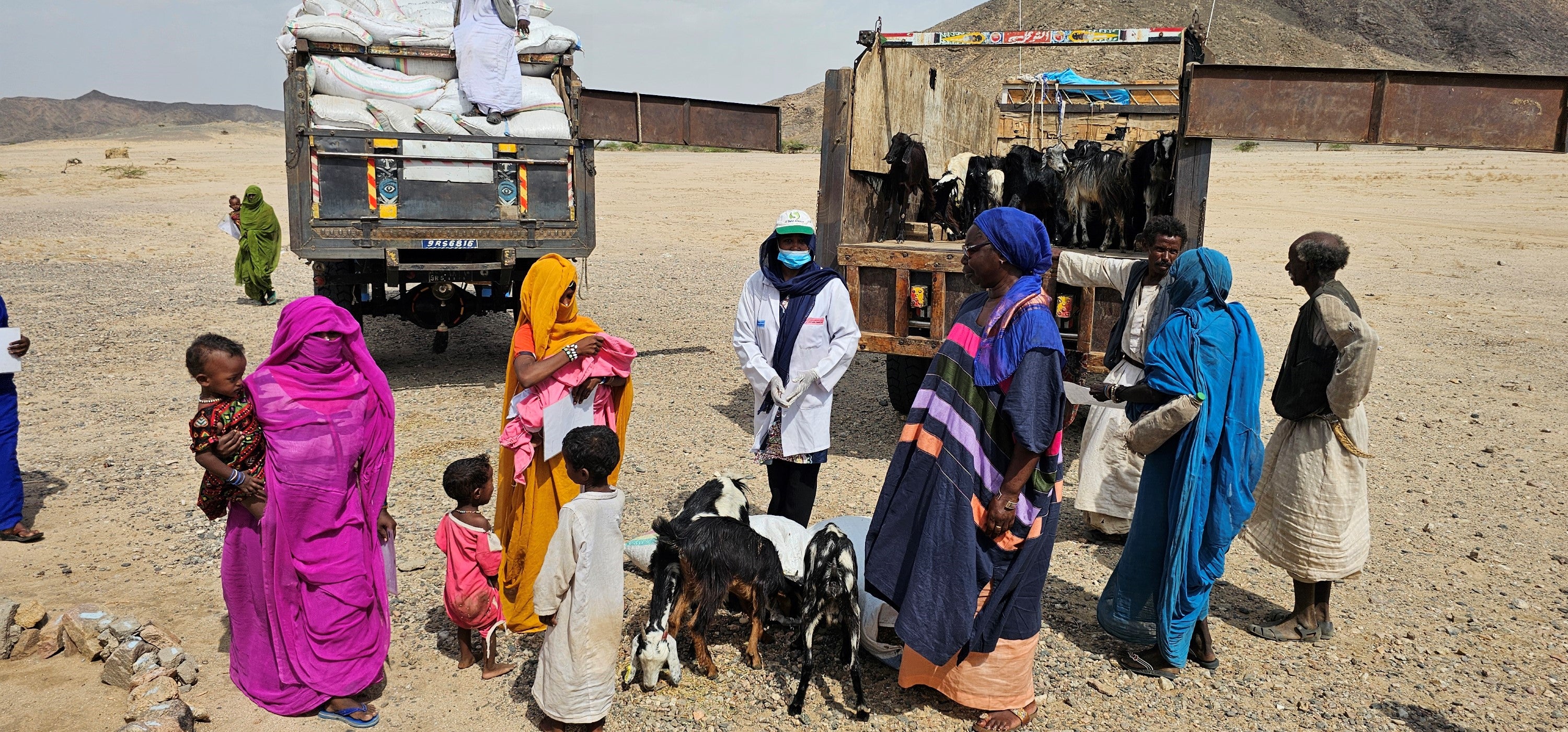 Ms. Adjaratou NDIAYE. The UN WOMEN Sudan Country Representative (right in a blue dress) distributes goats to group of vulnerable women in Ashit village (Photo UN WOMEN/Hla Mohamedkhair Hassan) 