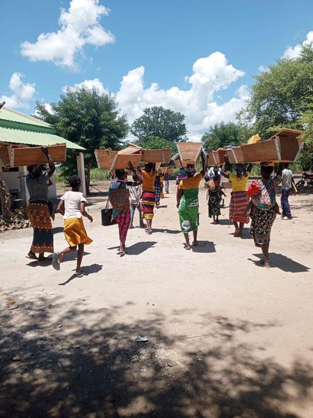 Women transporting improved beehives to the forests Photo: António Domingos