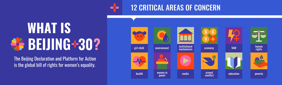 12 Critical Areas of Concern - Africa