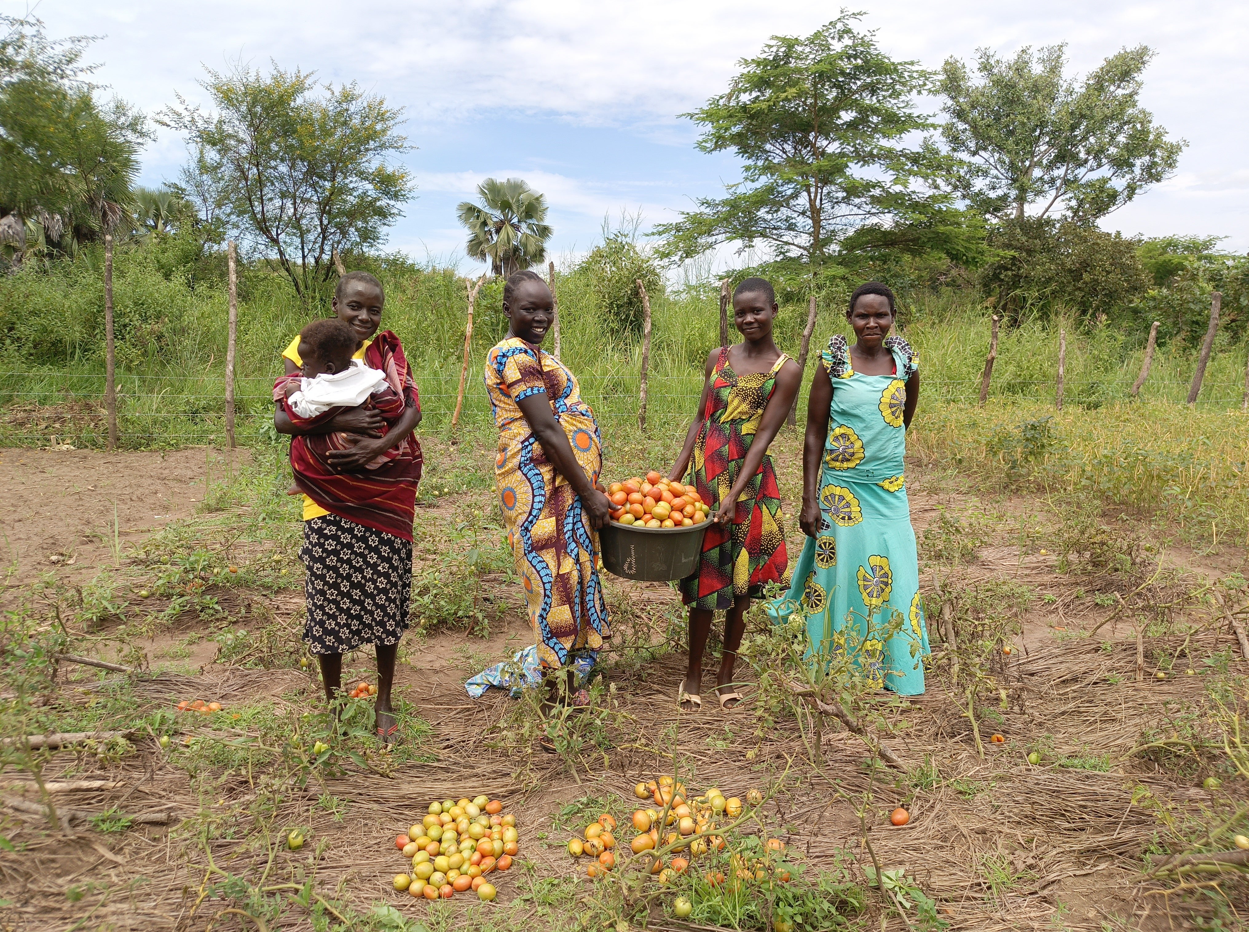 Four young women, including one carrying a child in her arms, are standing on a field, harvesting tomatoes - two of them are carrying a basket of tomatoes.