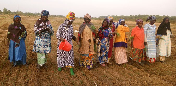Les membres de la coopérative de femmes utilisent du compost organique et des biopesticides résilients au climat dans leur ferme. 