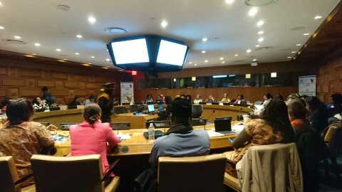 A view of participants during the Side event. 