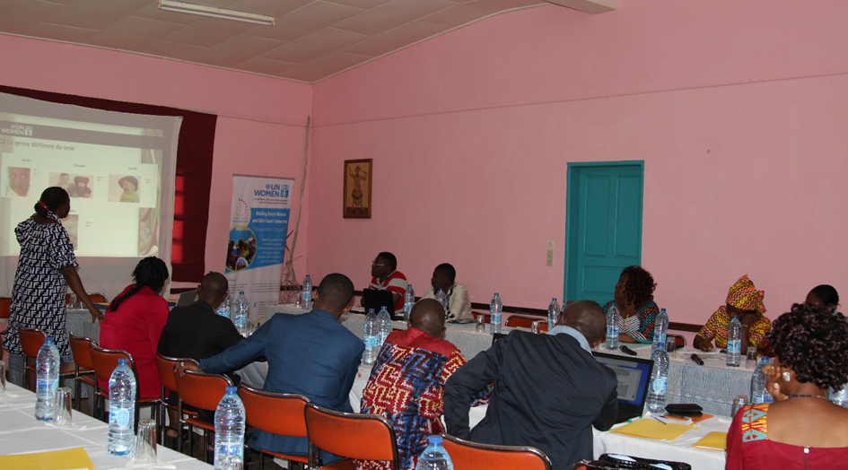 Gender and Statistics Focal points during group work. 