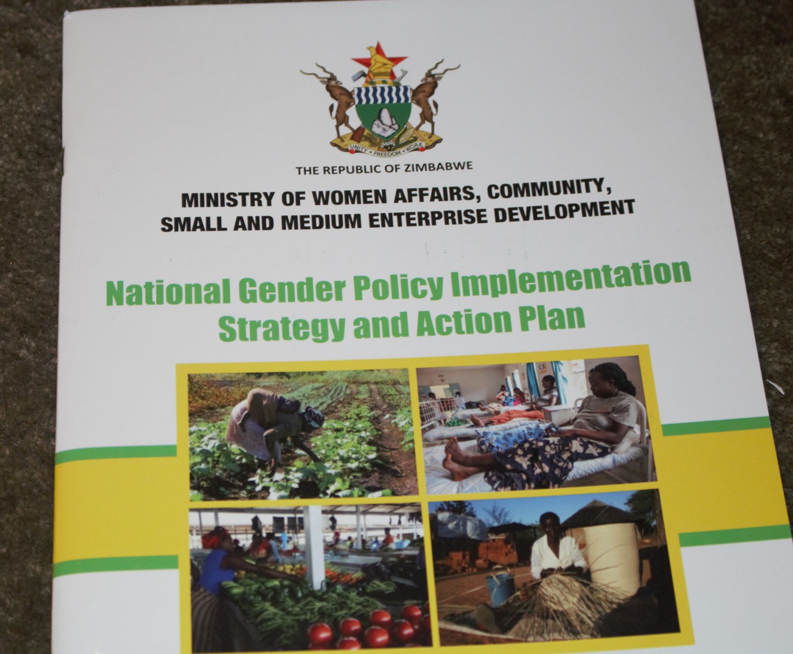 The National Gender Policy Implementation Strategy and Action Plan                                                                                                              