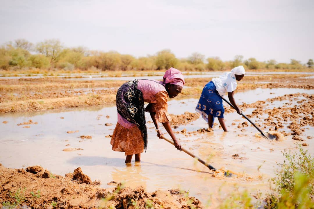 Femmes de REFAN, principales bénéficiaires de PAF/Agrifed et partenaires de la riposte COVID-19. Photo: Yulia Panevina/BNP Paribas