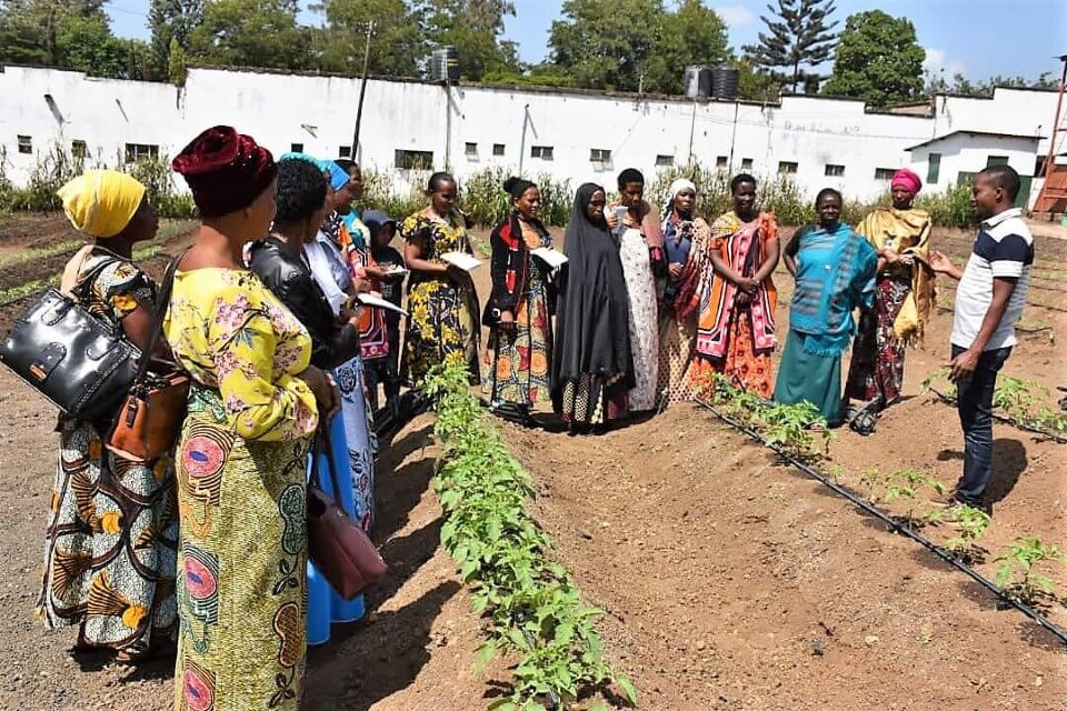 During a training on how to use drip irrigation in Singida, Mariamu Rasidi was one of the women who was trained on climate-smart techniques to grow sunflowers using drip irrigation. Since the launch of the programme, UN Women has trained 766 women sunflower farmers to improve their production in the Shinyanga and Singida regions. Photo: UN Women.