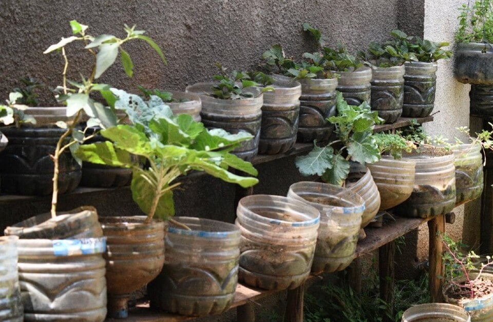 Gardening is one of the transferable skills taught to the women during their short stay at the shelter