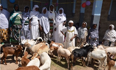 Some of the group members with the goats and sheep they purchased for income generating using the 3,000 Birr loan that each received