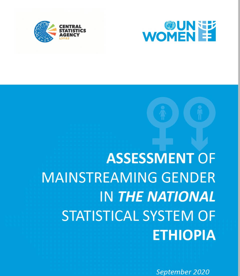 Assessment of mainstreaming gender in the national statistical system of  Ethiopia