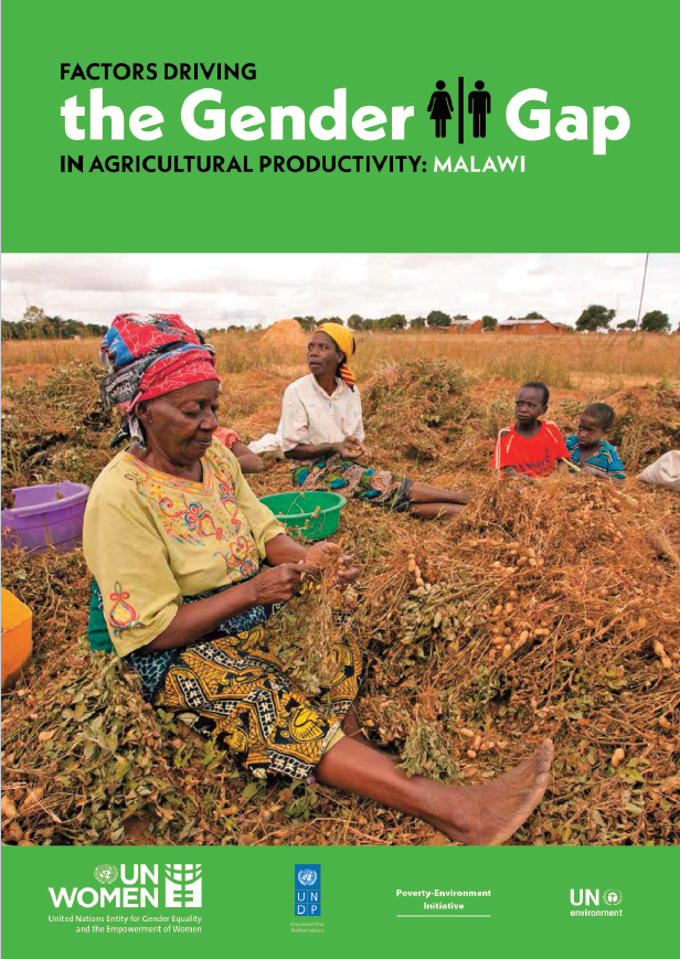 Agricultural production in Malawi | UN Women – Africa