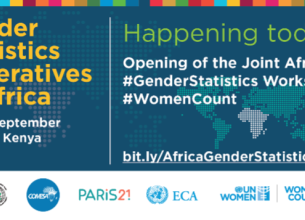 Gender Statistics 2022 Workshop 
