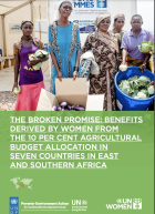  The Broken Promise: Benefits derived by women from the 10 percent agricultural budget allocation in seven countries in East and Southern Africa